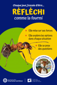affiche profil de l'apprenant IB fourmi