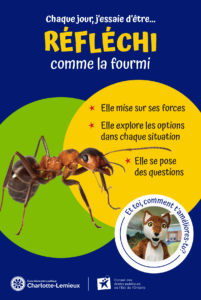 Affiches_IB-5-201x300.png
